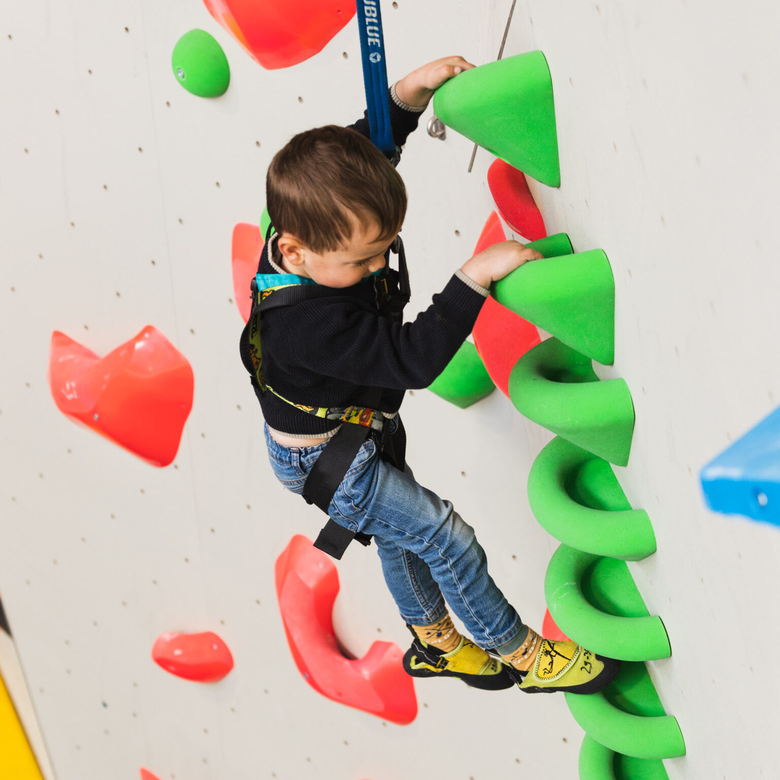 gym-kidszone-autobelay-kids-climbers-