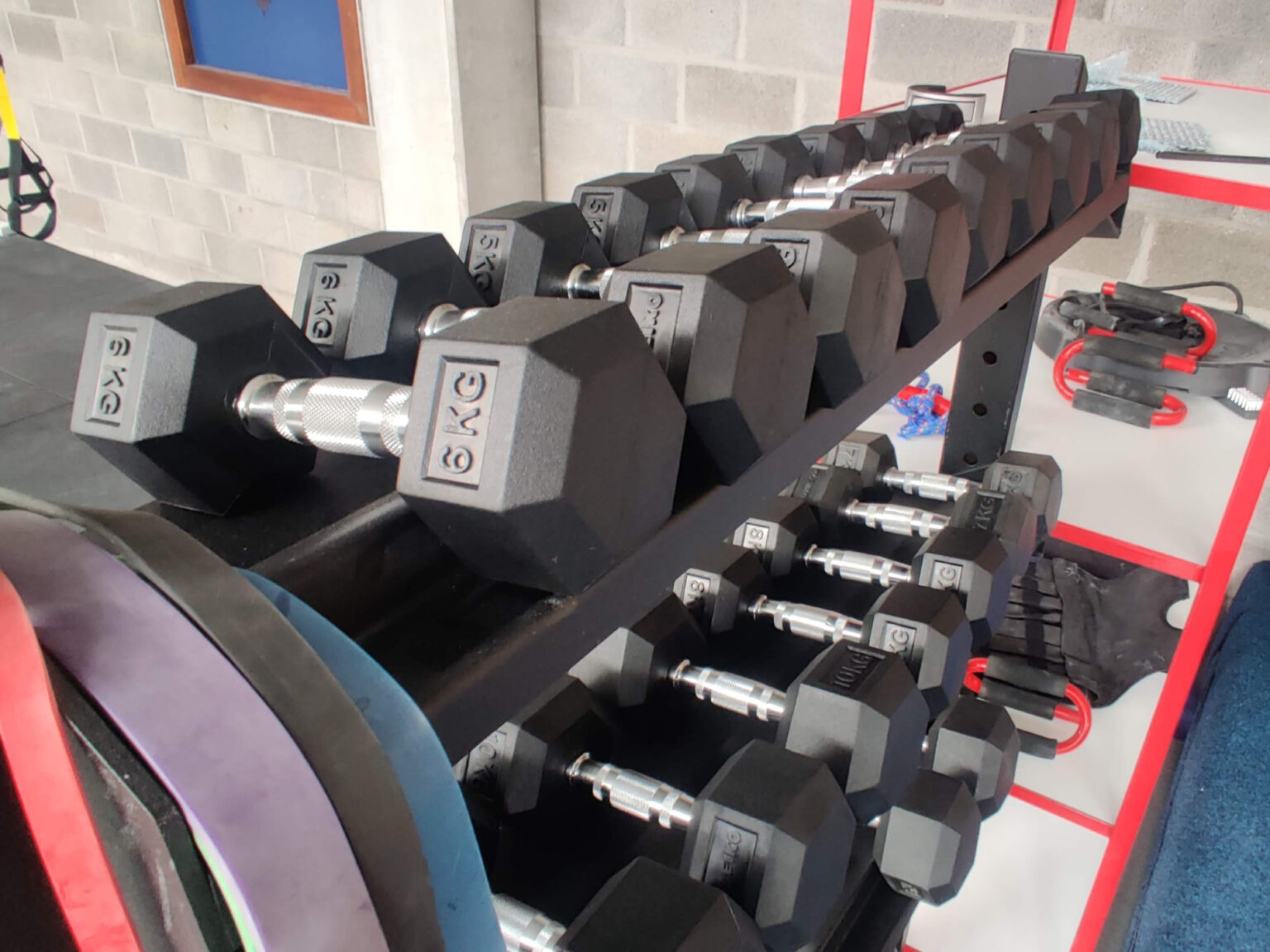 gym-fitness-